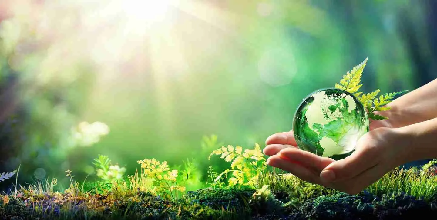 Transforming Grains: The Modern Rice Mill Plant Explained 2 Eco-Friendly Innovations in Grain Processing