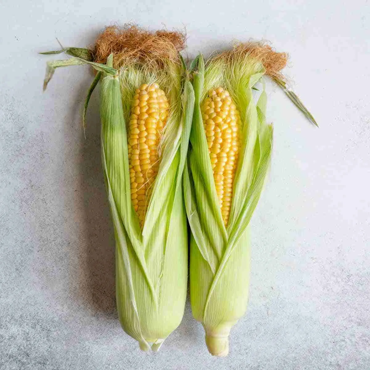 Exploring the Various Methods of Corn Processing
