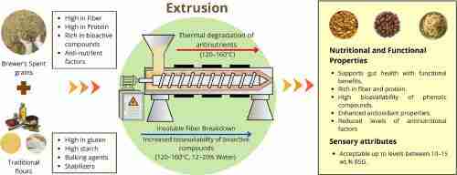 Unlocking Potential: Insights into Rice Milling Units