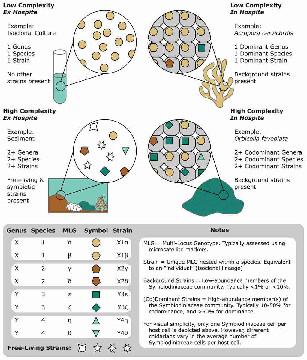 Unlocking Convenience: The Rise of Mini Rice Milling Machines