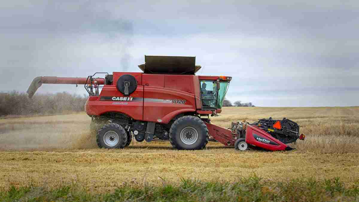 Efficient Grains: Exploring the Combine Mini Rice Mill Revolution