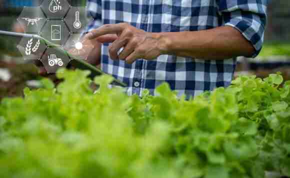 Revamping Agriculture: The Rise of Mini Rice Mill Plants