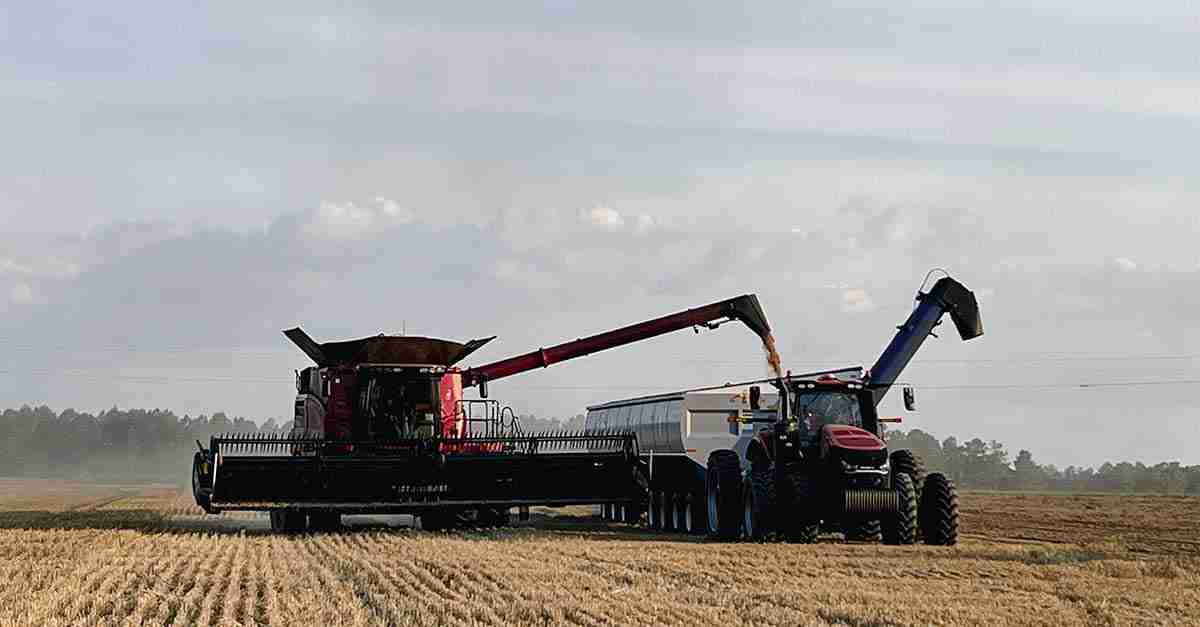 Harvest Efficiency: The Rise of Mini Rice Mills Unveiled