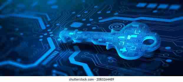 Unlocking Potential: The Inner Workings of Rice Mill Plants 2 Key Technologies Driving Efficiency in Modern Rice Mill Operations