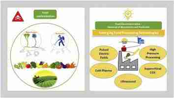 Unlocking the Crunch: The Art and Science of Cereal Processing 3 Innovative Processing Techniques: Enhancing Flavor and Nutrition