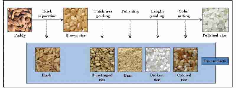Transforming Grains: The Role of Rice Processing Machines 1 The Evolution of Rice Processing Technology and Its Impact on Quality