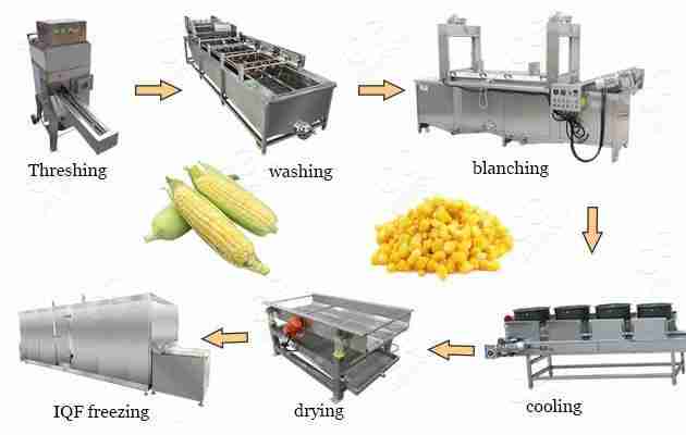 Unveiling the Secrets of Modern Corn Processing Techniques 4 Future Trends in Corn Processing Technologies and Market Implications