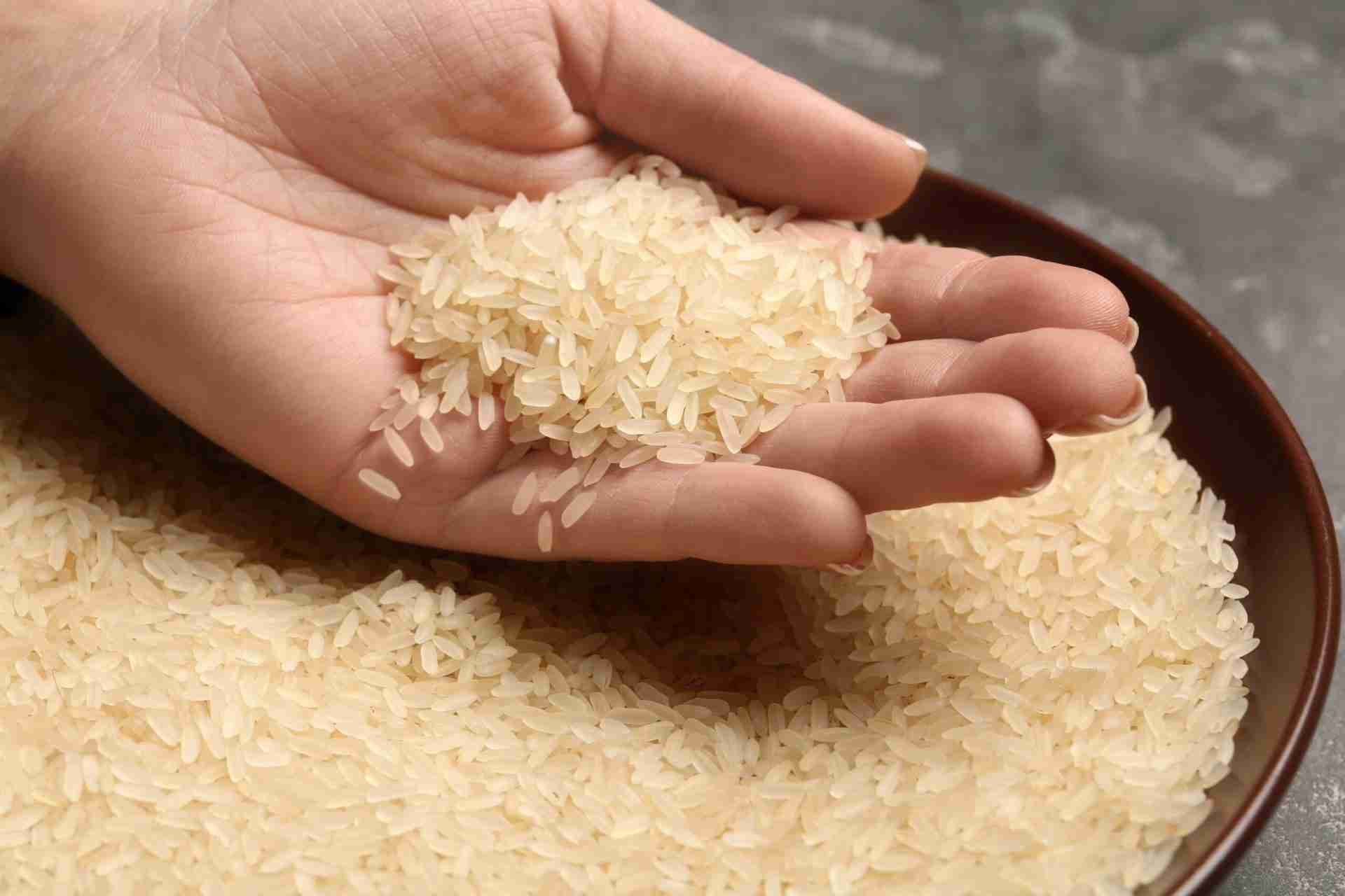 Behind the Scenes: The Art of Parboiled Rice Processing