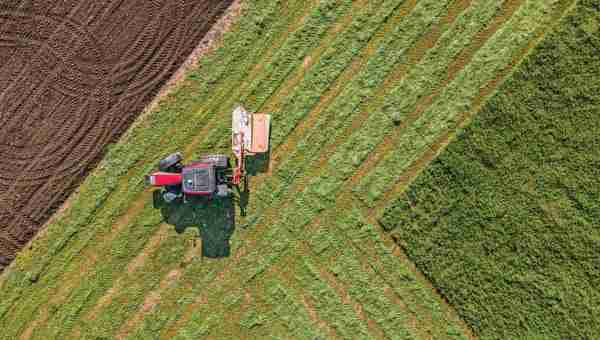 Transforming Harvests: A Deep Dive into Paddy Processing
