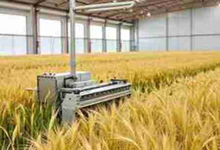 Transforming Grain: Inside a Modern Paddy Processing Plant