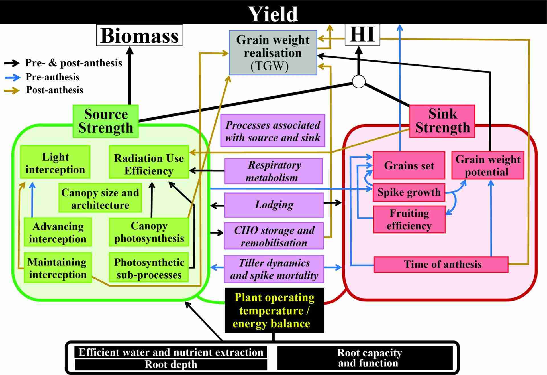 Unlocking Grain Potential: The Essential Rice Milling Unit