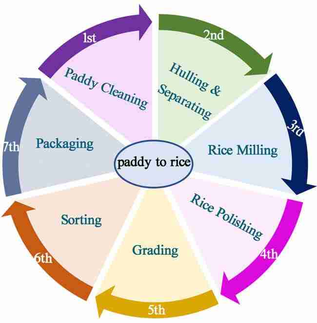 Transforming Rice: The Essential Guide to Paddy Processing Units 1 Understanding the Paddy Processing Cycle and Its Importance