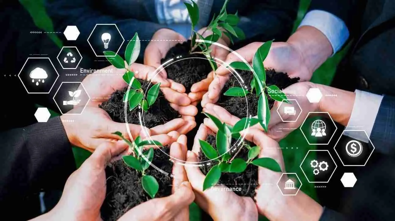 Unlocking Innovation: The Future of Rice Processing Equipment 2 Sustainability as a Core Principle: Eco-Friendly Innovations in Equipment Design