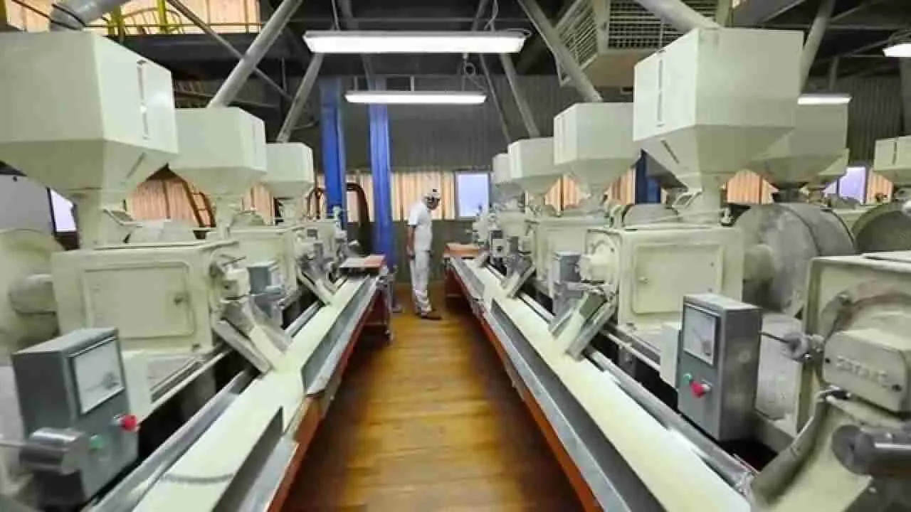 Unlocking Quality: A Guide to the Best Rice Mills in 2023 1 Exploring the Features That Define Excellence in Rice Milling