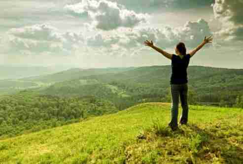 From Grain to Bowl: Unraveling the Art of Cereal Processing 2 Transforming Nature: The Science Behind Cereal Processing Methods