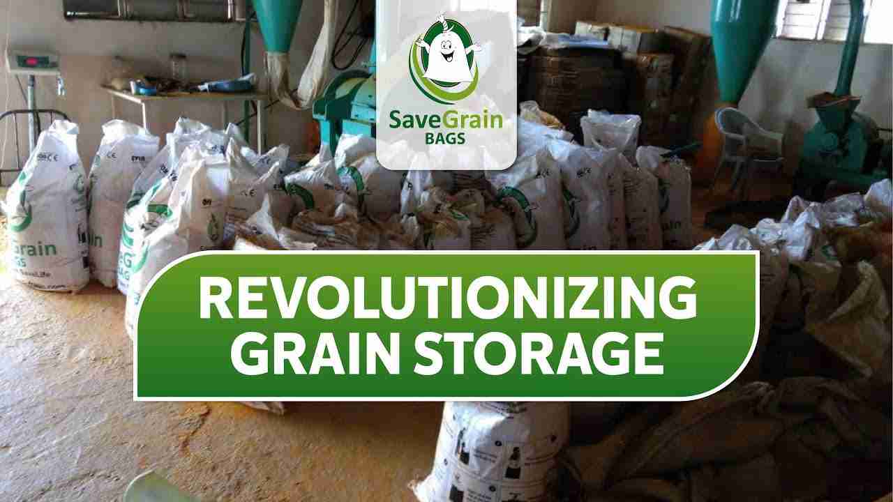 Revolutionizing Grain: The Rise of Automatic Rice Mill Plants