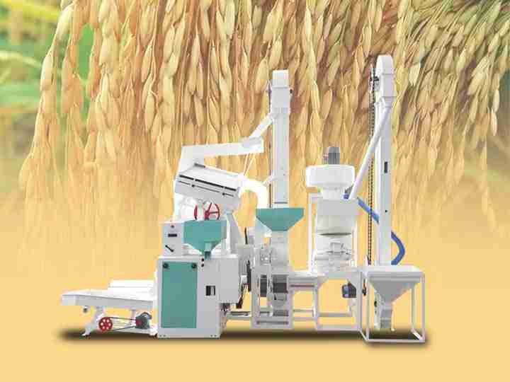 Unlocking Potential: Exploring Mini Rice Mill Plants