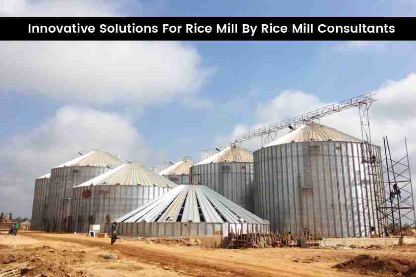 Top Rice Mills of 2023: Finding Your Perfect Grain Processor