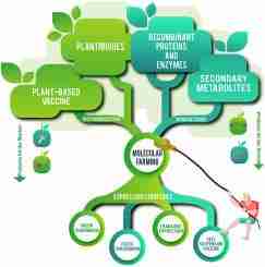 Revolutionizing Harvests: The Versatile Portable Rice Mill