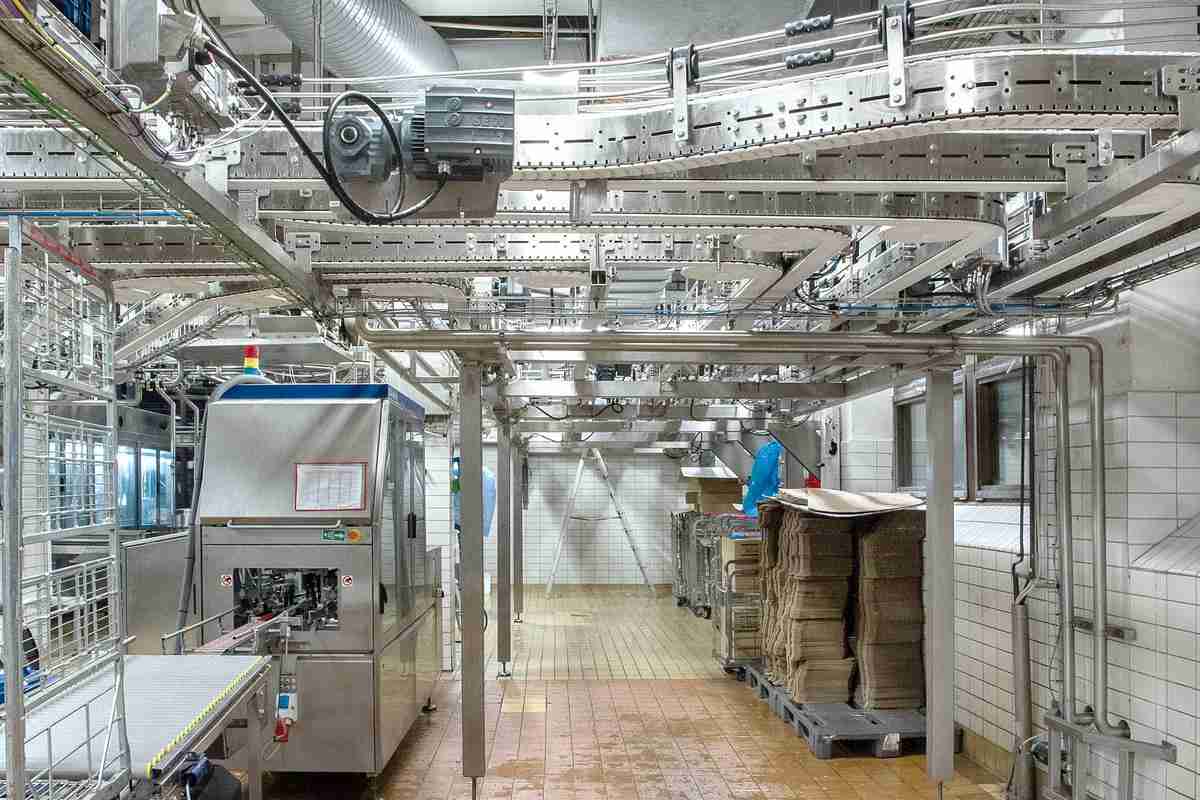 Elevating Production: The 2 Ton Rice Mill Plant Project