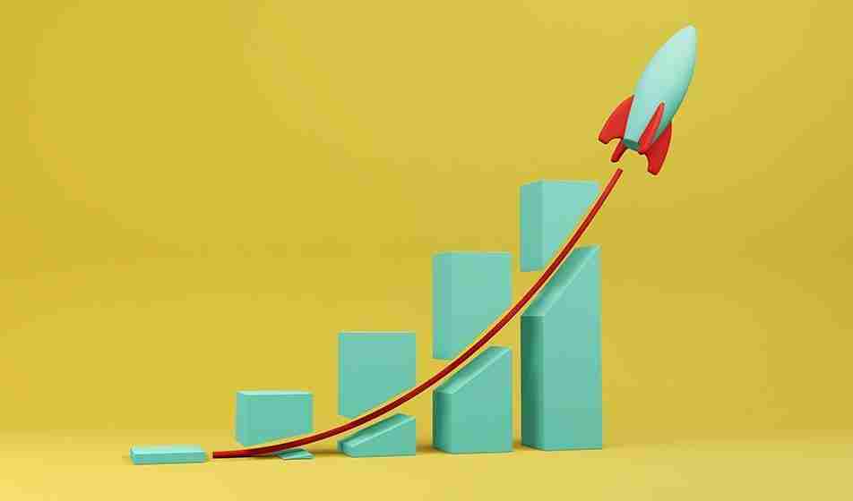 Unlocking Productivity: The 2-Ton Rice Mill Plant Project