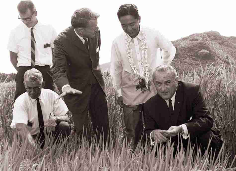 Rice Revolution: The Modern Transformation of Chinese Rice Mills