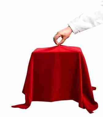 Unveiling the Journey: Inside a Paddy Processing Factory