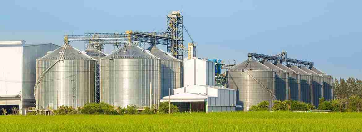 Unlocking Excellence: The Top Rice Mills of the Year