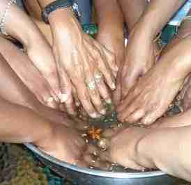 Unearthing Tradition: The Role of Chinese Rice Mills Today