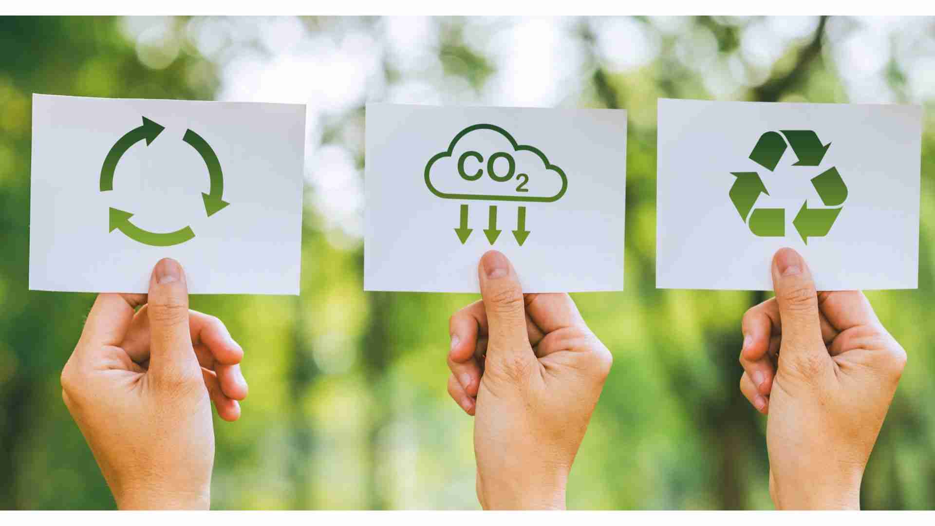 Sustainable Practices and Their Impact on Local Economies