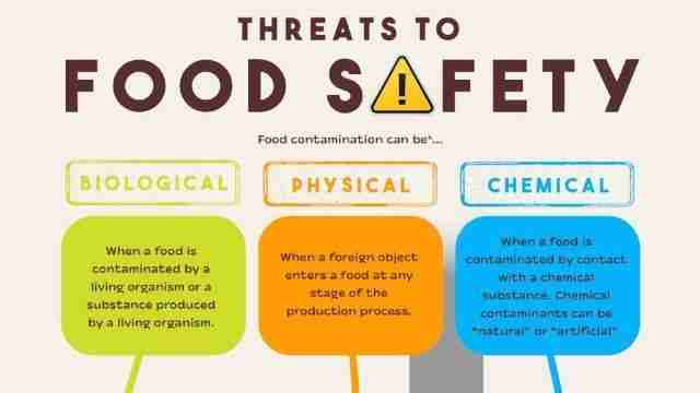 Unlocking the Secrets of Cereal Processing: A Detailed Overview 4 Best Practices for Ensuring Food Safety and Nutrition in Processed Cereals