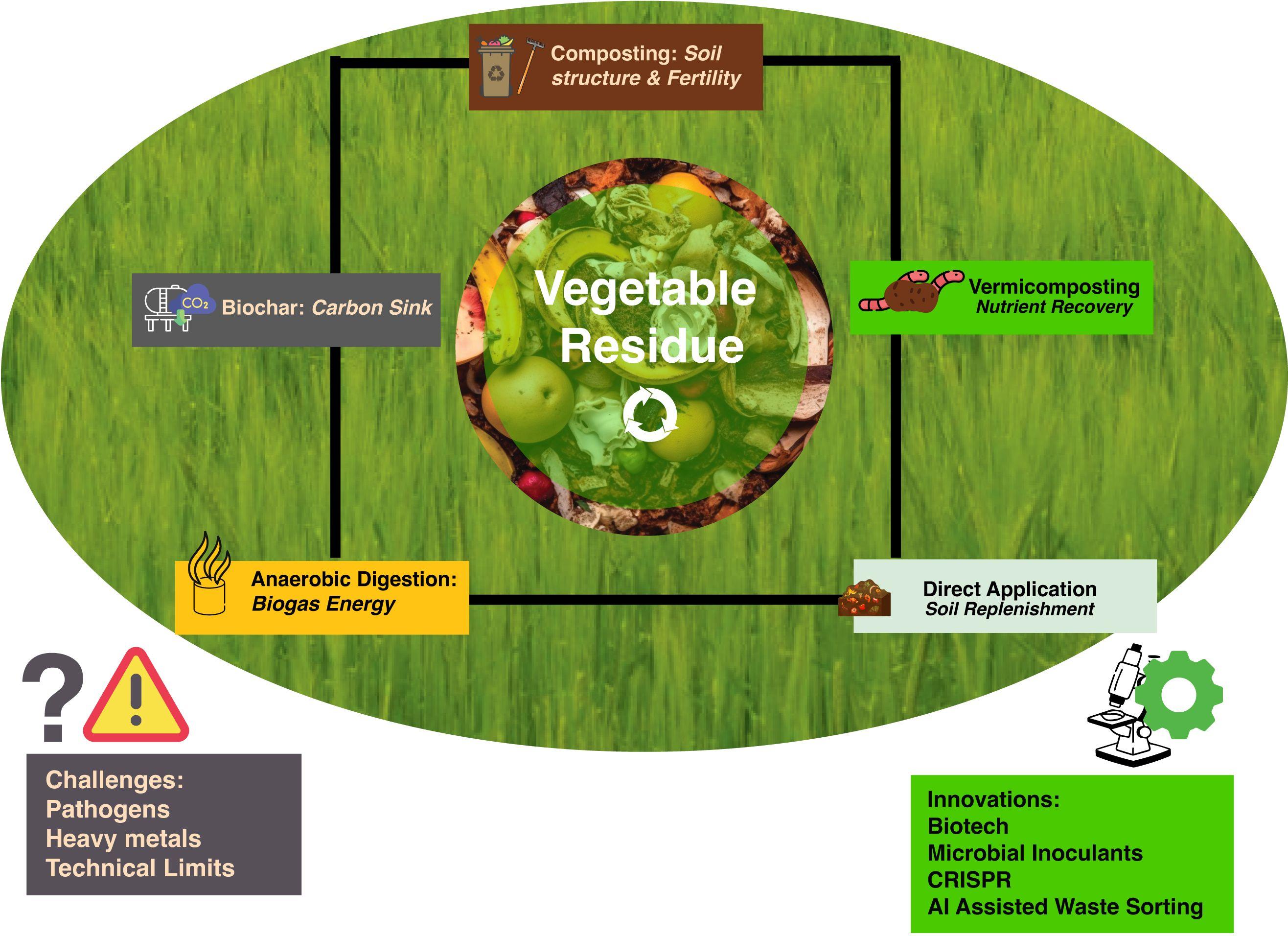 Unlocking Efficiency: The Evolution of Combined Rice Mill Machines 2 Analyzing the Impact of Combined Rice Mill Machines on Production Costs