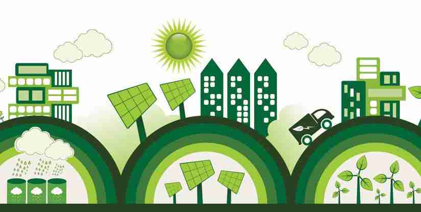 Revolutionizing Grains: The Rise of Industrial Rice Milling 2 Sustainability in Industrial Rice Milling: Balancing Efficiency and Ecology