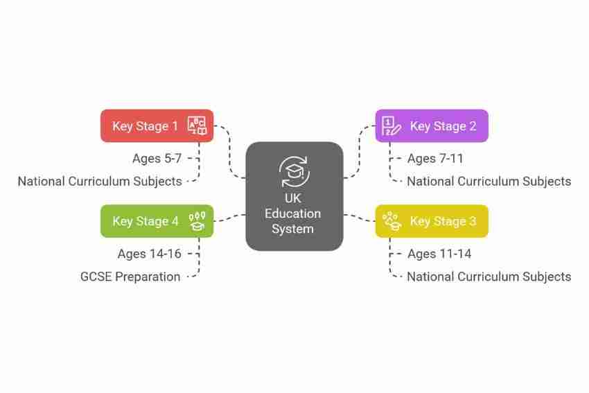 Unlocking the Secrets: Inside a Parboiled Rice Processing Plant 2 Key Stages of Processing: From Soaking to Drying