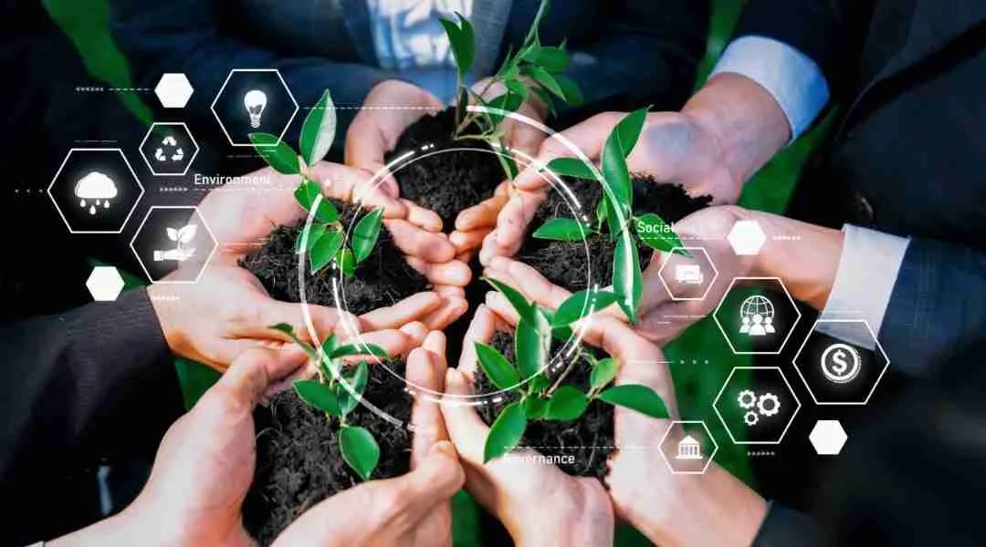 Sustainability and Future Trends in Maize Milling Practices