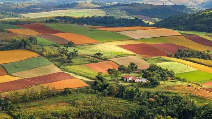 Corn Processing: From Field to Fork – The Journey Unveiled 1 Exploring the Agricultural Landscape: The Vital Role of Corn in Modern Farming