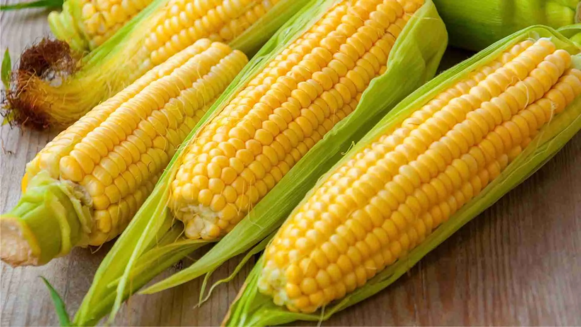 The Journey of Corn: From Field Harvest to the Kitchen