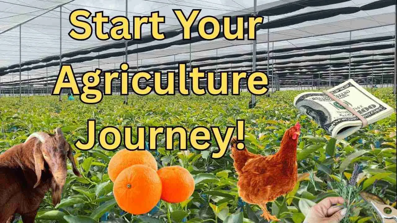 From Field to Bowl: The Art and Science of Cereal Processing 1 Understanding the Agricultural Journey: Sourcing Grains for Optimal Flavor and Nutrition