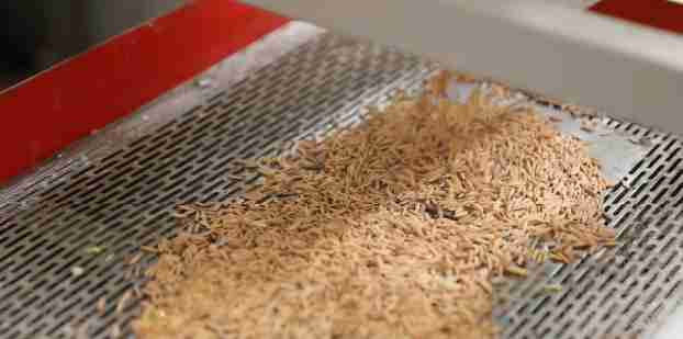 Revolutionizing Grain: The Rise of Industrial Rice Milling Machines 1 The Evolution of Rice Milling Technology and Its Impact on the Industry