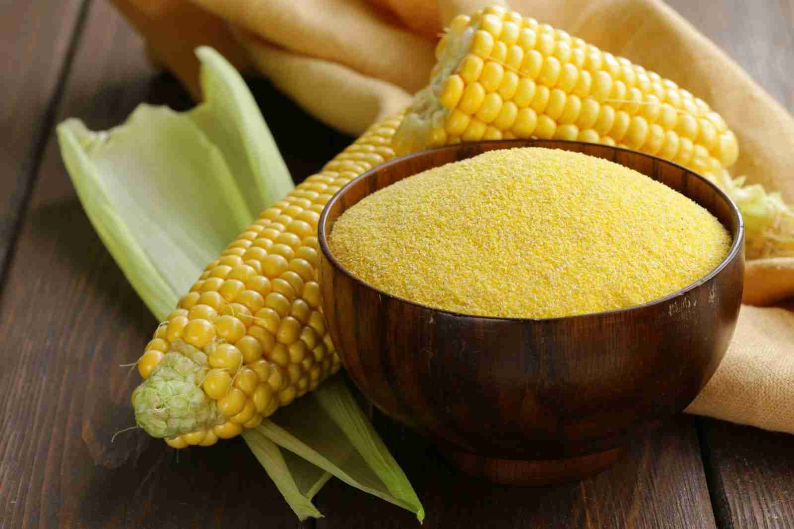 Corn Processing: Unlocking the Secrets of a Versatile Crop 4 Exploring the Future of Corn Products: Trends and Opportunities in a Global Market