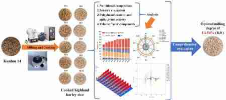 Transforming Grains: Inside the Rice Milling Unit Process 1 Essential Technologies and Equipment for Efficient Rice Milling