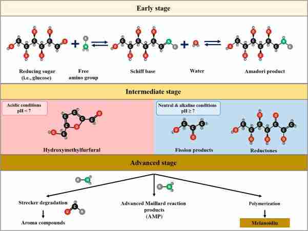 The Science Behind Cereal Processing: A Crunchy Exploration 2 The Maillard Reaction: Creating Flavor and Color in Cereal