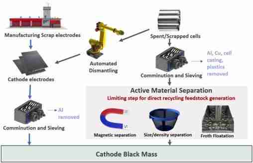 Inside the Paddy Processing Factory: Grain to Greatness