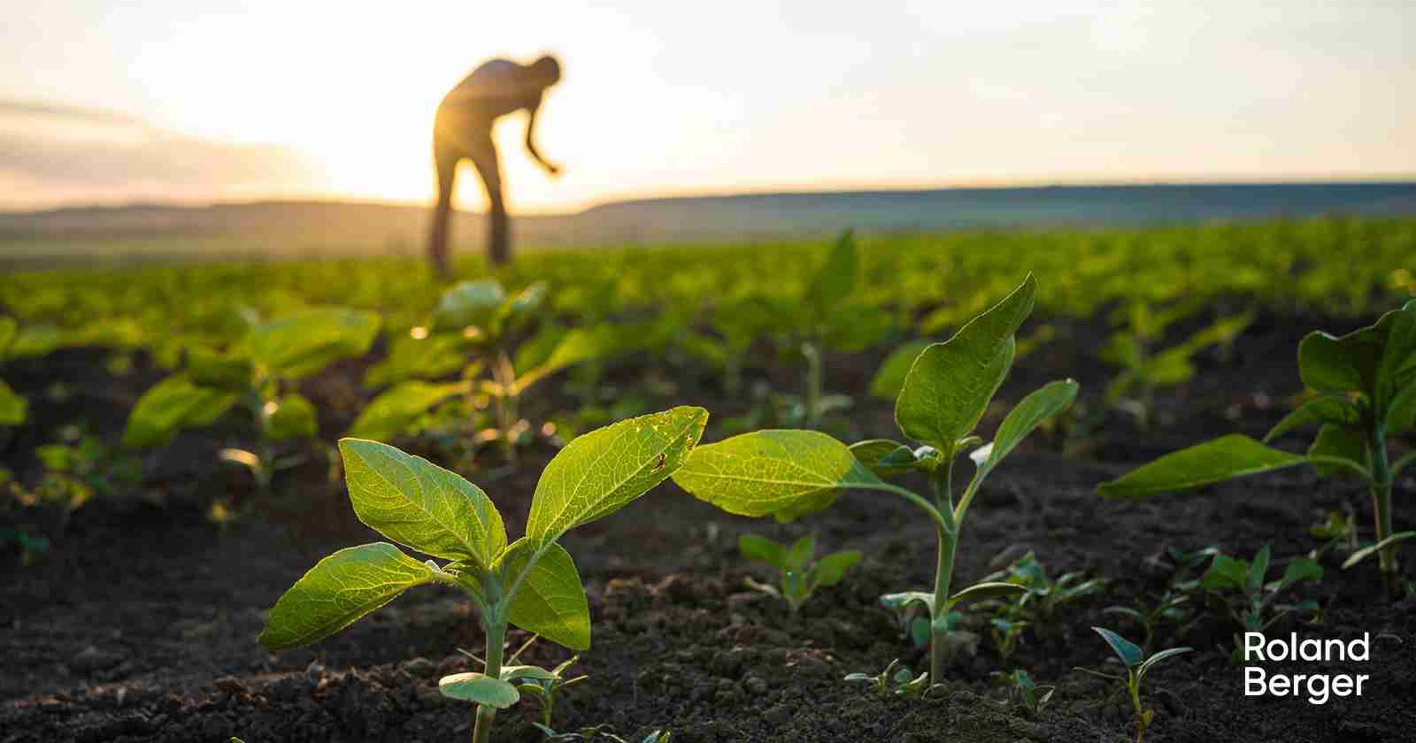 Streamlining Agriculture: The Rise of Combined Rice Mills