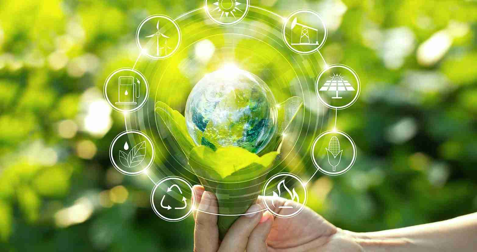 Corn Transformations: Unveiling the Art of Processing 4 Sustainability in Corn Transformation Practices