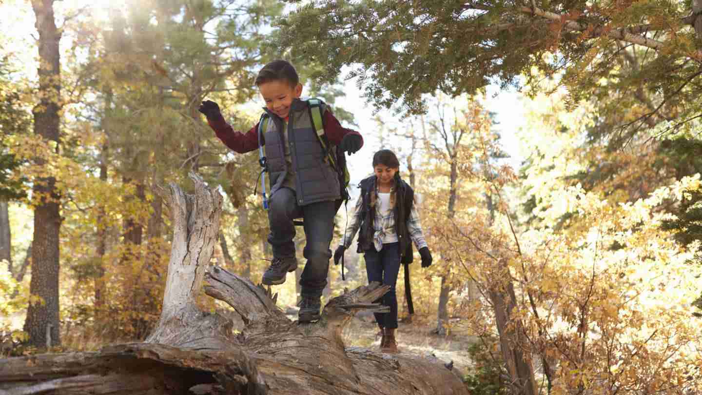 Unlocking the Secrets of Maize Milling: A Farm to Flour Journey 2 Exploring Techniques for Optimal Grain Preparation and Quality Control