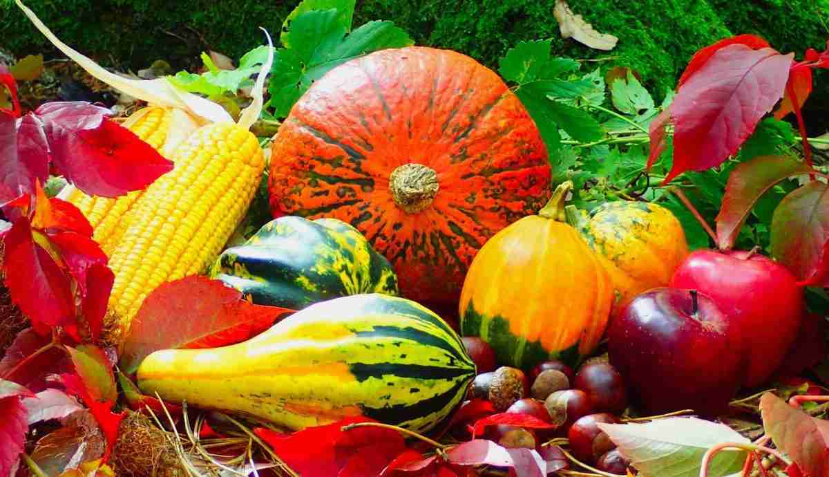 From Grain to Gourmet: The Intricate Journey of Rice Processing 2 From Harvest to Hull: The Science Behind Milling and Processing