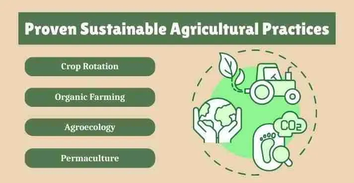 Revolutionizing Harvests: The Future of Fully Automatic Rice Mills 2 Sustainable Practices: The Role of Automation in Reducing Environmental Impact