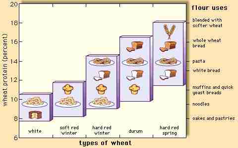 Transforming Grains: An Insight into Cereal Processing 2 Understanding the Methods of Cereal Processing