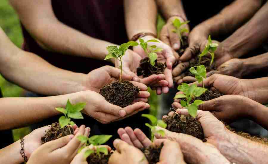 Corn Processing: Unveiling the Journey from Field to Fork 2 Exploring Sustainable Practices in Corn Cultivation and Processing